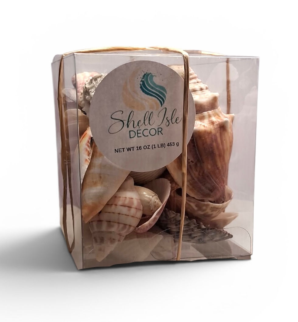 Thumbnail: Small Shell Box