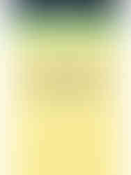 З.Сүхбаатар, П.Оюундэлгэр нарын “Монгол улсын Иргэний эрх зүй (Ерөнхий үндэслэл)”