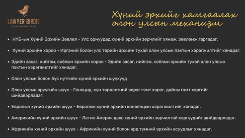 Хүний эрхийг хамгаалах олон улсын механизм