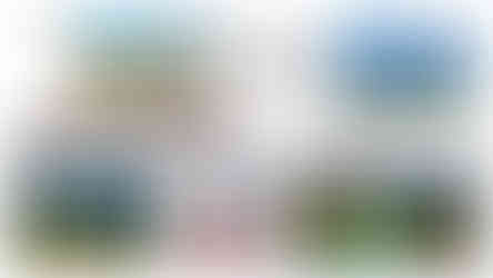 Амьсгал бүр = Алдагдсан боломж