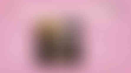 Шүүхийн хамгаалалт