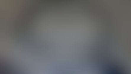 Төрийн зорилго, чиг үүрэг