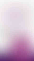 Улс төрийн элит