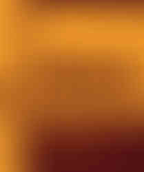 Н.Лүндэндорж “Төрийн онол”