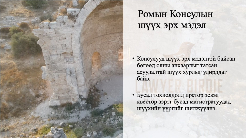 Ромын Консулын шүүх эрх мэдэл