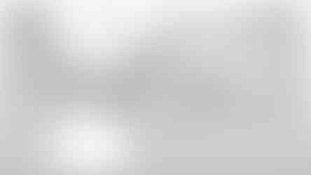 Англо-Саксоны буюу далайн орнуудын эрх зүйн бүл