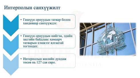 Интерполын санхүүжилт