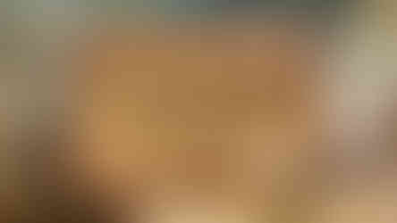 Их Монгол Улсын төр, эрх зүйн тогтолцоо