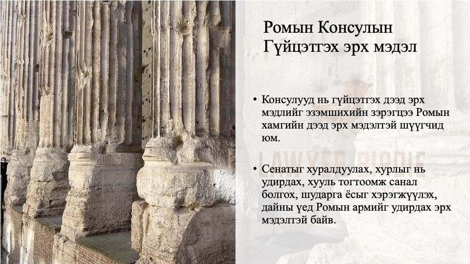 Ромын Консулын Гүйцэтгэх эрх мэдэл