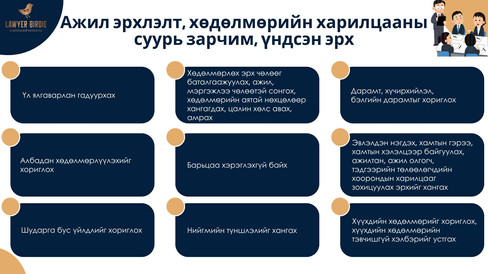 Ажил эрхлэлт, хөдөлмөрийн харилцааны суурь зарчим, үндсэн эрх