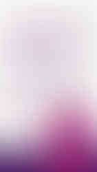 Нийгэм соёлын элит