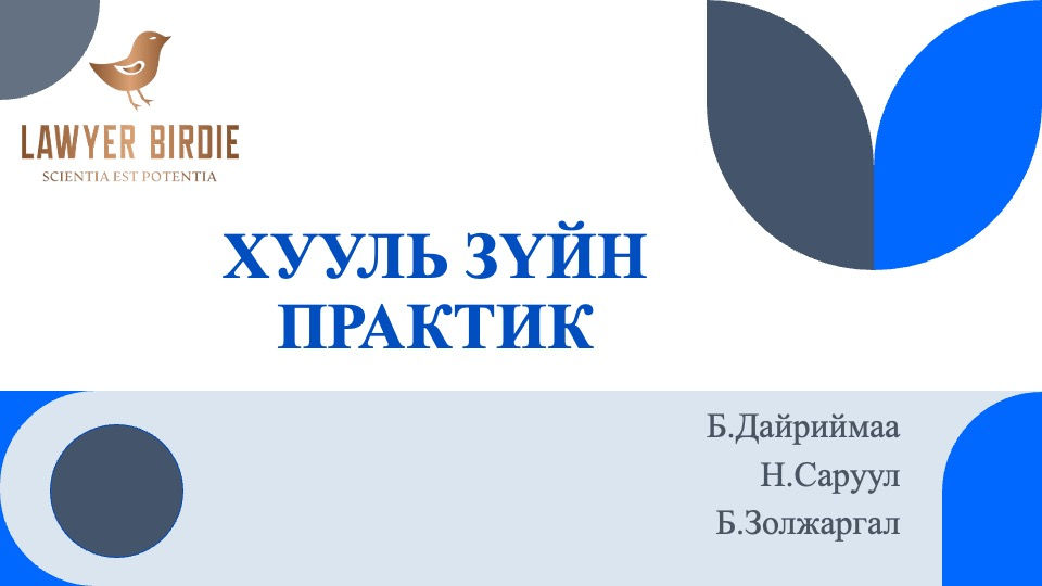 Хууль зүйн практик