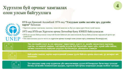 Хүрээлэн буй орчныг хамгаалах олон улсын байгууллага