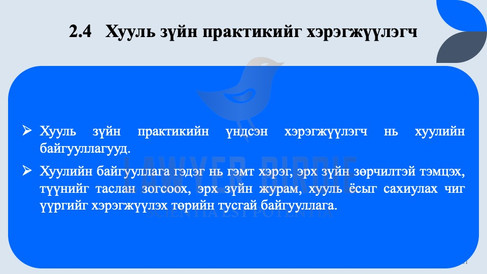 Хууль зүйн практикийг хэрэгжүүлэгч