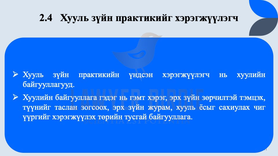 Хууль зүйн практикийг хэрэгжүүлэгч