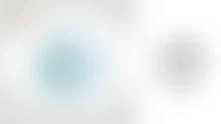 Үндэсний баялгийн сангийн тухай хуулийн төсөл, үзэл баримтлал