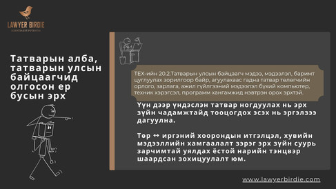 Татварын алба, татварын улсын байцаагчид Татварын ерөнхий хуулиар олгосон ер бусын эрх