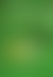 М.Ванчигмаа “Эрх зүйн онол ба төрийн онолын зарим асуудал”