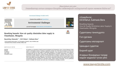 Амьсгалын үнэ цэн- Улаанбаатар хотын агаарын бохирдол хөдөлмөрийн нийлүүлэлтийг хэрхэн бууруулж байна вэ?