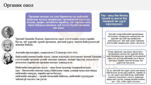Төрийн үүслийн Органик онол