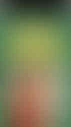 Хүний эрх = Хүн хоорондын хүндэтгэлтэй харьцаа