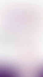 Институцийн элит