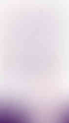 Элит нэр томьёоны хэрэглээ