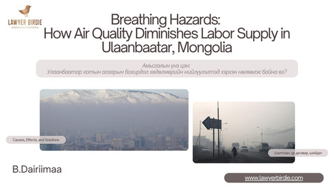 Амьсгал боогдуулсан аюул: Агаарын бохирдол Улаанбаатар хот дахь хөдөлмөрийн нийлүүлэлтийг хэрхэн бууруулж байна вэ?