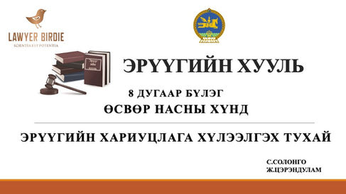 Эрүүгийн хуулийн 8 дугаар бүлэг Өсвөр насны хүнд эрүүгийн хариуцлага хүлээлгэх тухай