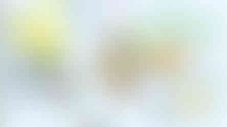 Улс ба төрийн үүслийг тайлбарладаг онол, сургаал, үзэл баримтлал