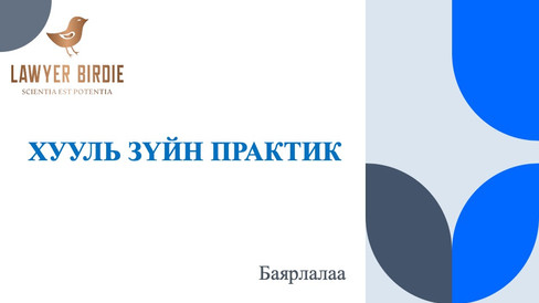 Хууль зүйн практик
