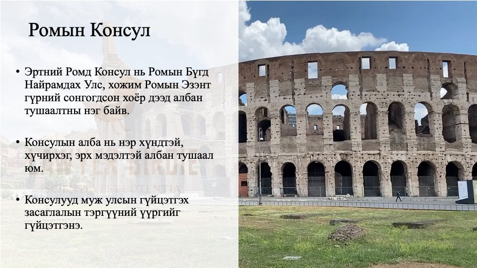 Ромын консул