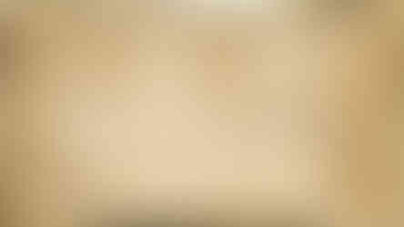 Их Монгол Улсын төр, засаглалын тогтолцоо