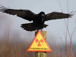 Τσερνομπίλ-Άψινθος, Αποκάλυψη του Ιωάννη και Αντίχριστος