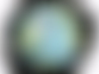 Η παγκόσμια διακυβέρνηση προ των πυλών ή εντός των τειχών;