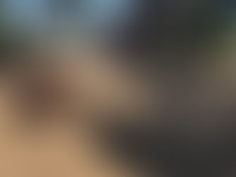 Η παραρεμάτια περιοχή της Πύρνας μέσα στον χώρο και τον χρόνο