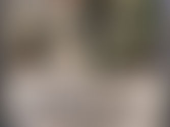 Τζιμ Μόρισον: το μυστήριο