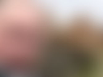 Πατριαρχείο, Μυστράς και Πούτιν