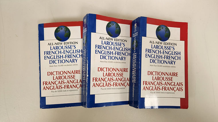 Multiple French dictionaries