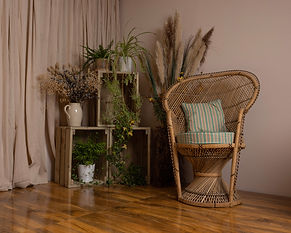 Plants area.jpg