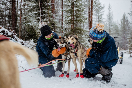 Husky safari either on a wheel cart or sled in Rovaniemi. Transfers from/to selected locations in Rovaniemi, safety- and driving instructions, 4 km drive with a husky cart or 45 minutes with a sled, hot juice, cookies, snack, arctic outer clothing and informative talk about huskies.