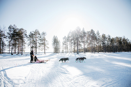 6,5 hour husky tour in Rovaniemi, driving distance 30-40km, adults only. Time at the husky kennel 09:00 to 15:30. Mush a dog-team through the remote trails just north of Rovaniemi and the Arctic Circle. We travel 30 - 40 km during this tour.