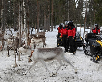 Snowmobile Safari and Visiting Reindeer farm designed for adults and children aged 10 and up. It combines the thrill of snowmobiling through snowy forests with a peaceful and authentic reindeer experience at a traditional family-run farm.