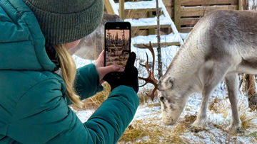 Photo with reindeer Levi