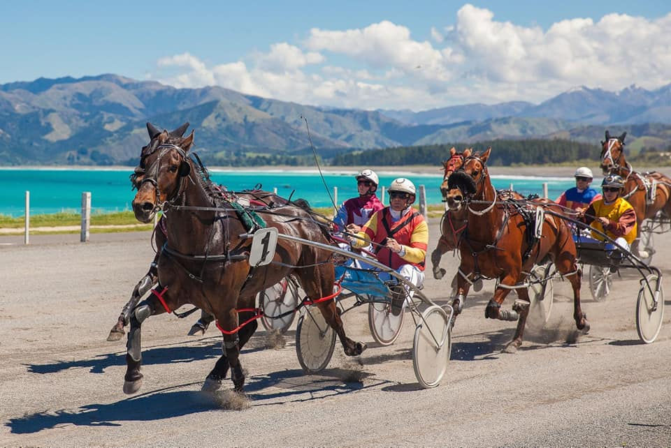 Kaikoura Races