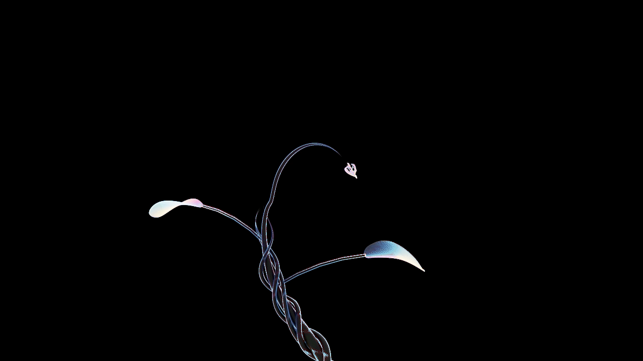 230414_Flower.gif