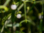 GettyImages-1227214606.jpeg