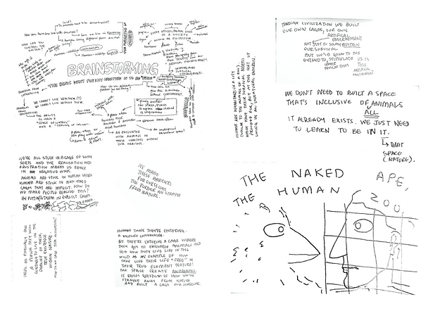 brainstormlsdp copy yee.png