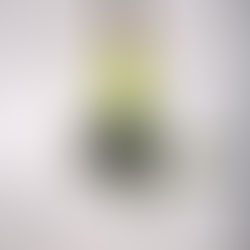 New videos out + featured playlists! (Eng)