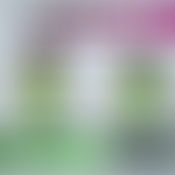 The Story of - Sugar-Free!